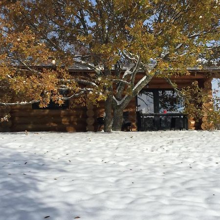 فيلا Reves De Bois Loubeyrat المظهر الخارجي الصورة